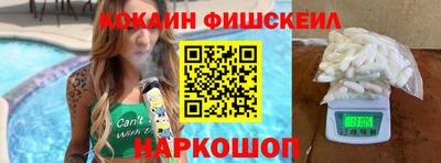 гидра Будённовск