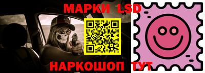 гидра Будённовск