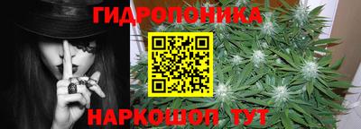 гидра Будённовск