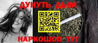 гидра Будённовск